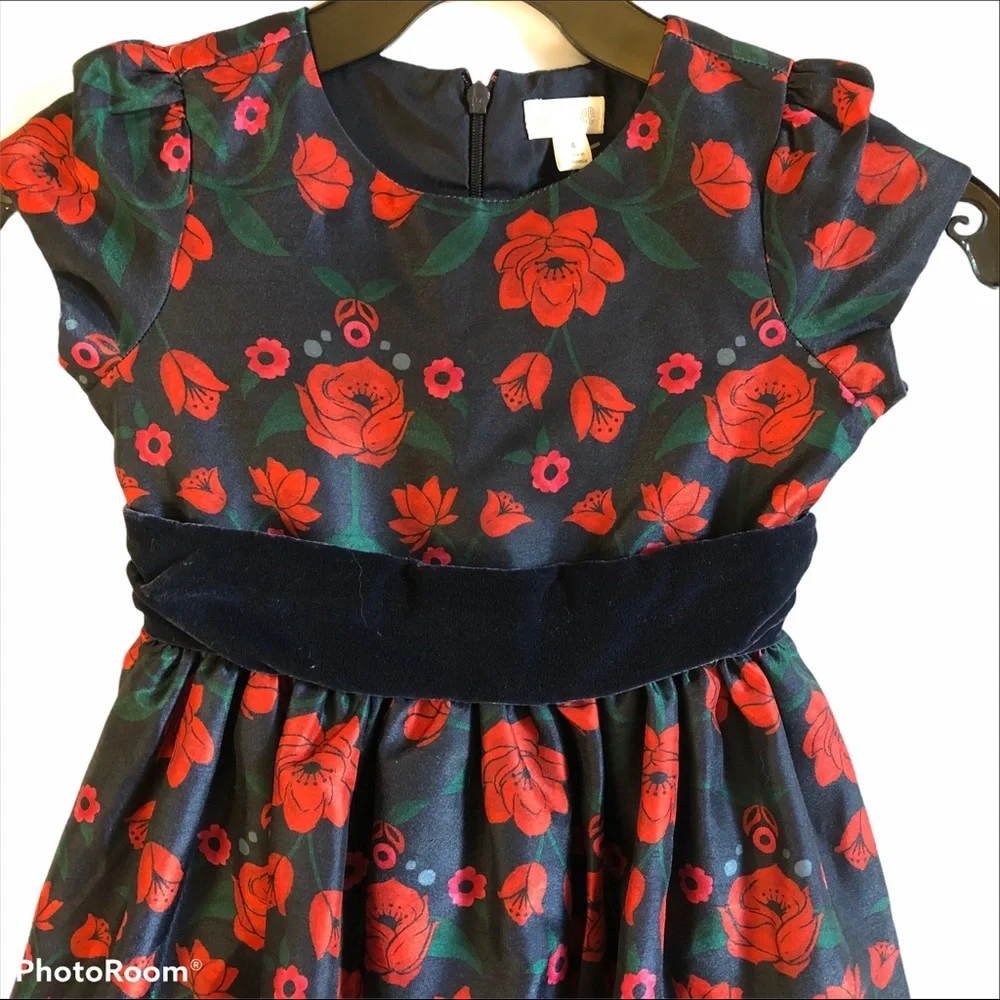 NWT Gymboree Red Black & Green Floral Party Dress / Size 4